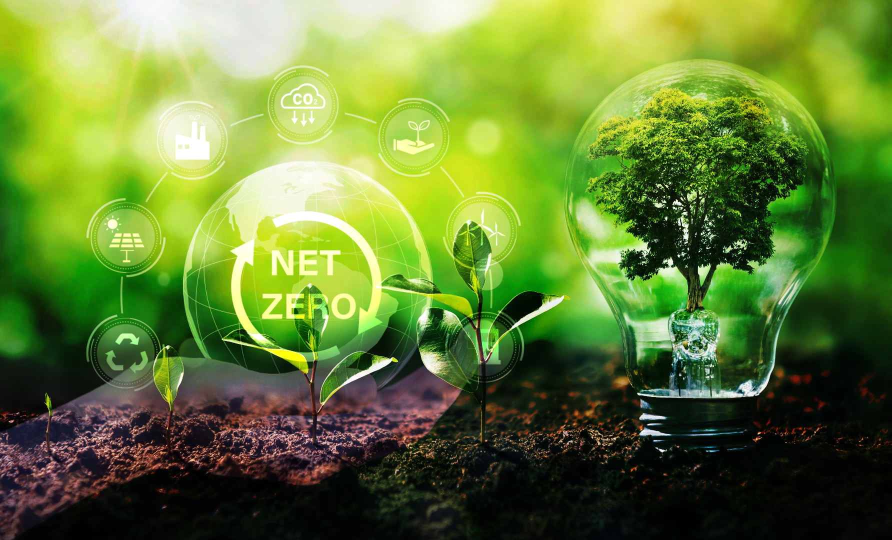 Net zero: Organizations believe that the cloud will be the trigger