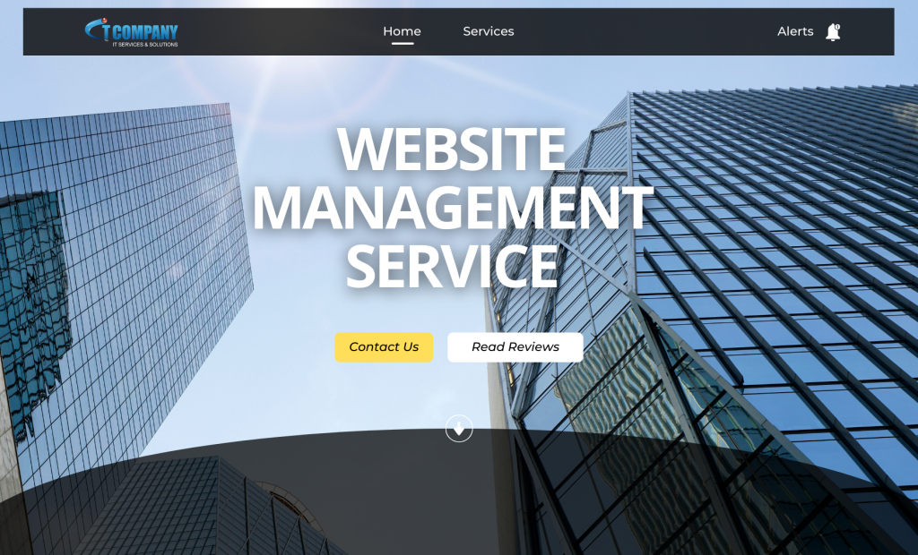 Accelerate Your Small Business with Website Management