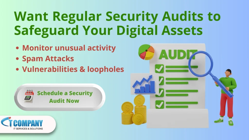 Security Audits