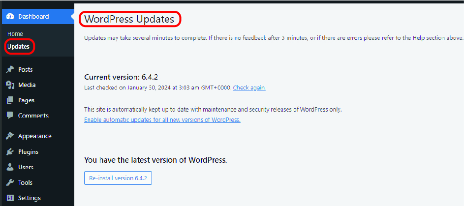 wordpress update