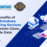 Top Benefits of Using Database Cleansing Services to Maintain Clean, and Reliable Data