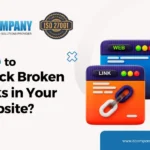 How to Check Broken Links in Your Website to Improve Site Maintenance Health