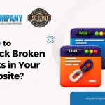 How to Check Broken Links in Your Website to Improve Site Maintenance Health