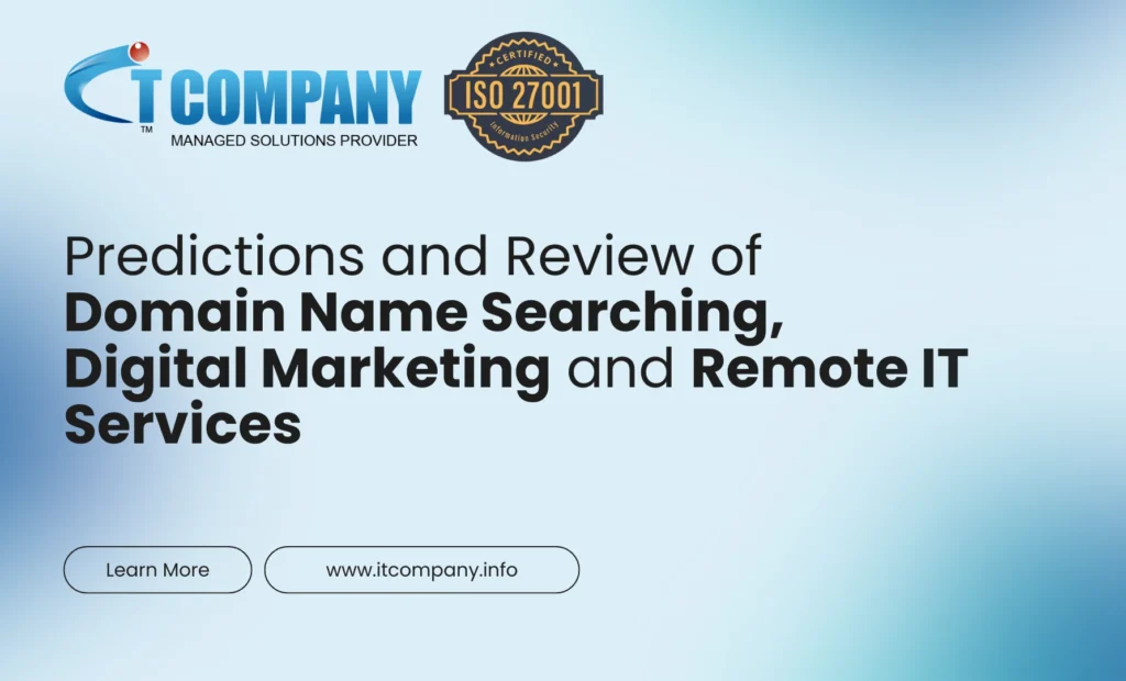 2024 review and 2025 predictions of domain name searching, digital marketing, remote IT services