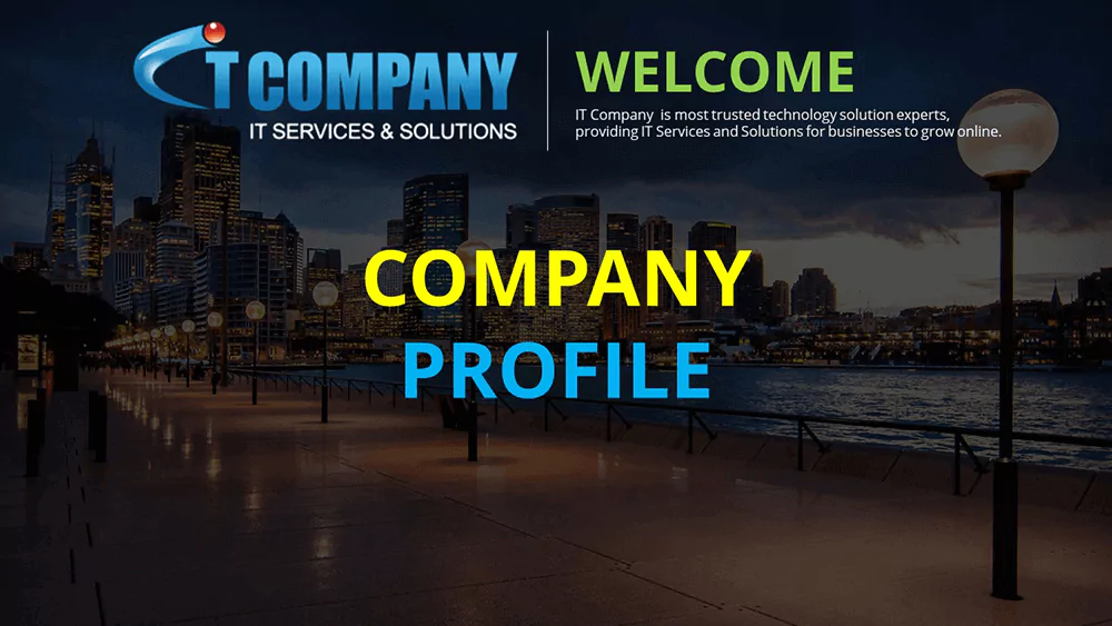 IT Company profile image 2